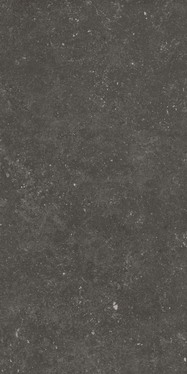 Fossil Black 12X24 Matte Porcelain Tile