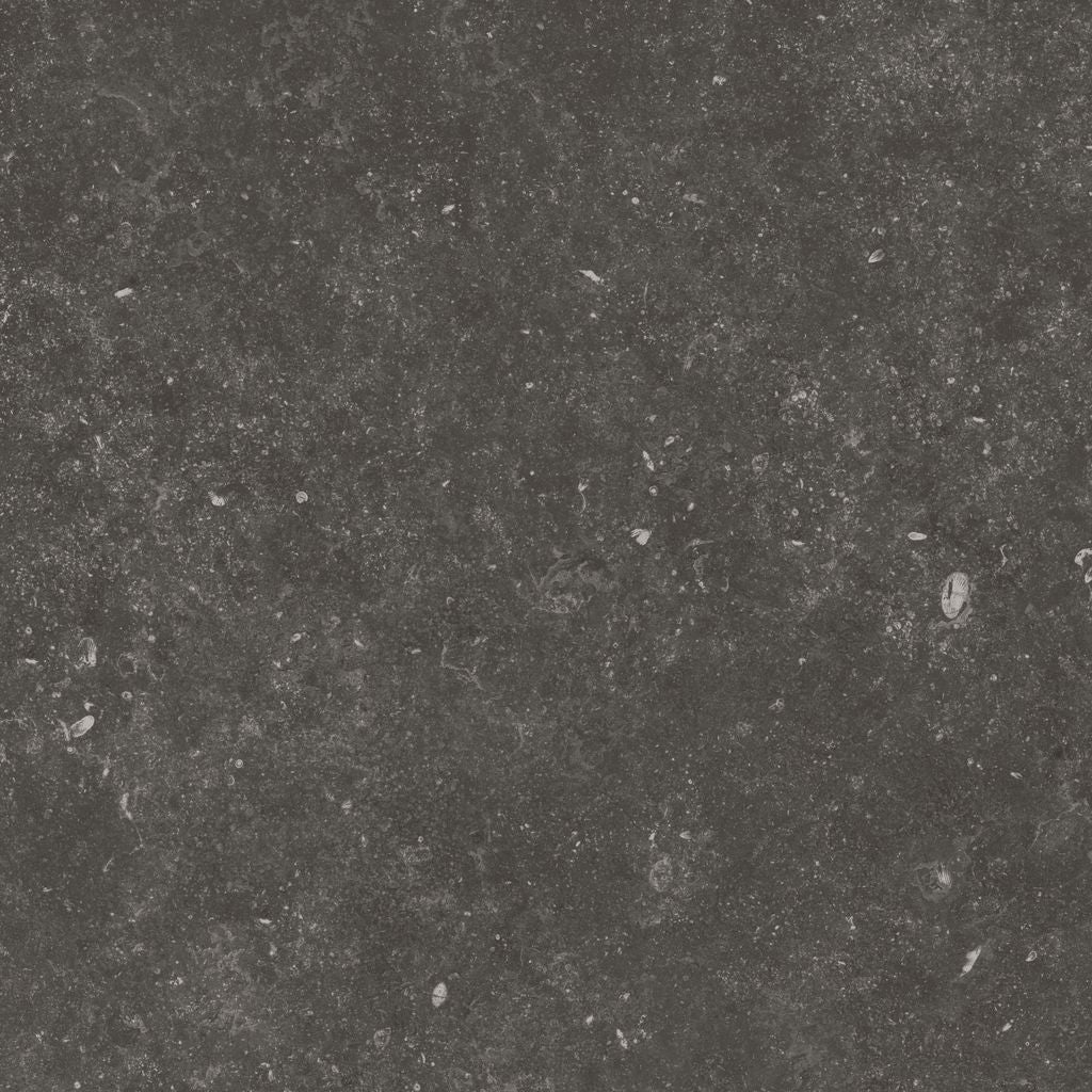 Fossil Black 24X24 Matte Porcelain Tile