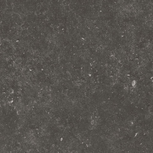 Fossil Black 24X24 Matte Porcelain Tile