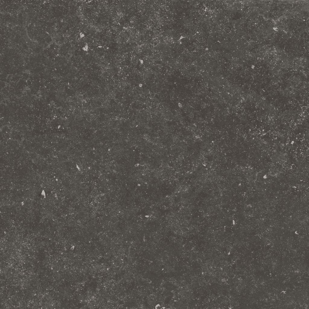 Fossil Black 12X24 Matte Porcelain Tile