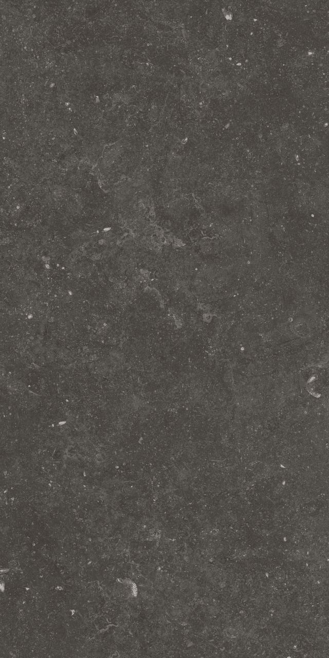 Fossil Black 12X24 Matte Porcelain Tile