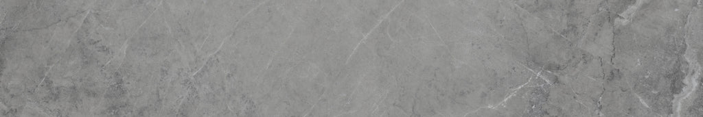 Loft 8X48 Matte Porcelain Tile
