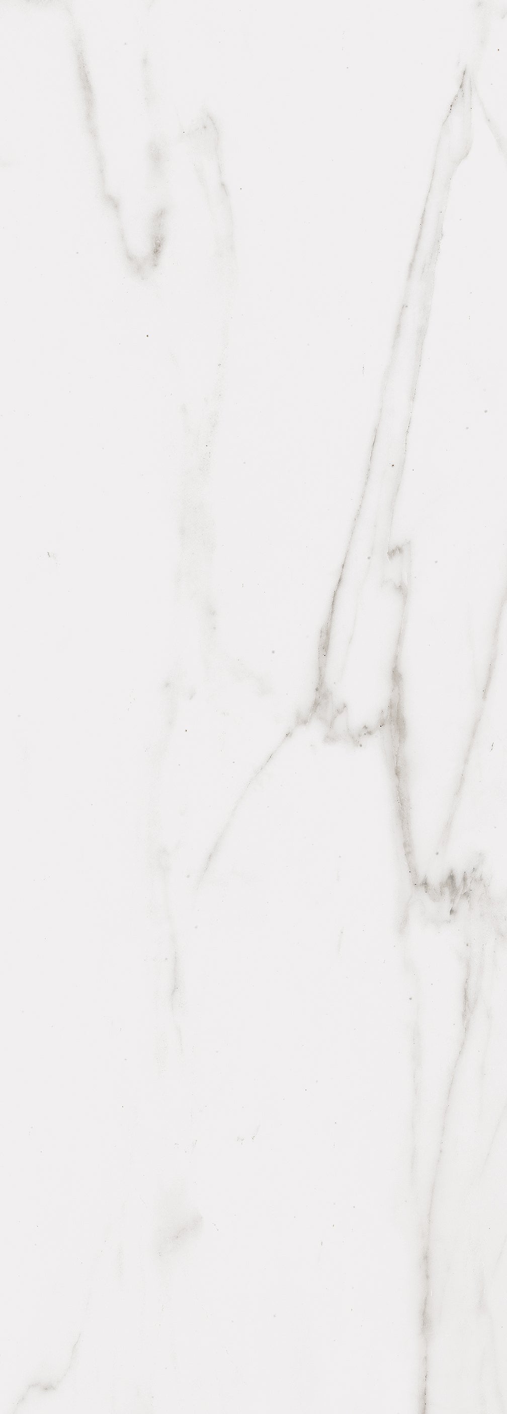Calacatta Wall 14X39 Glossy Porcelain Tile