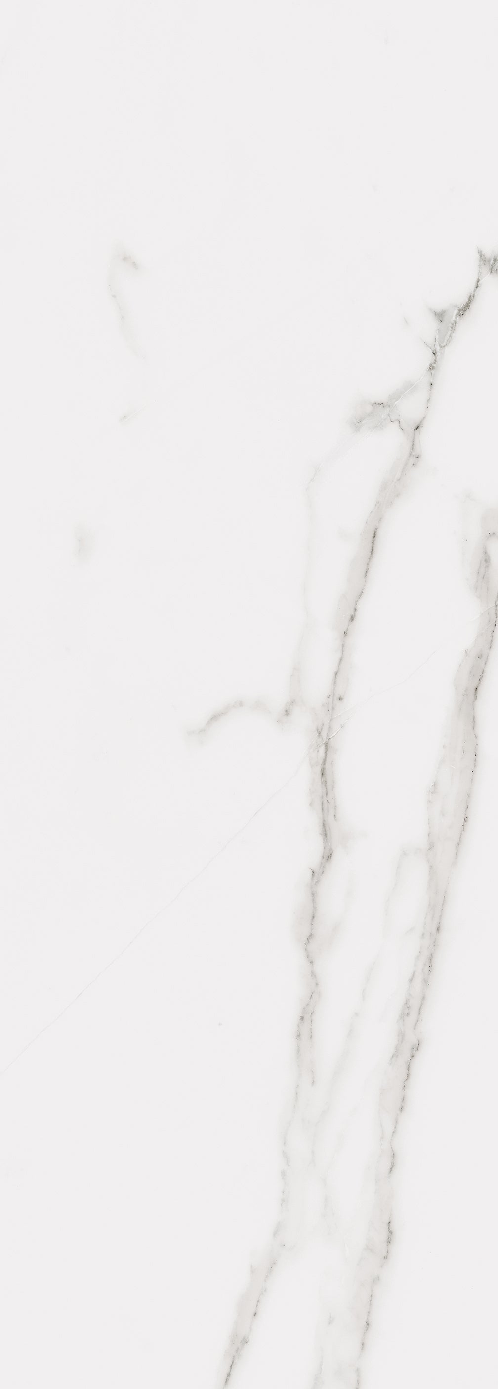 Calacatta Wall 14X39 Glossy Porcelain Tile