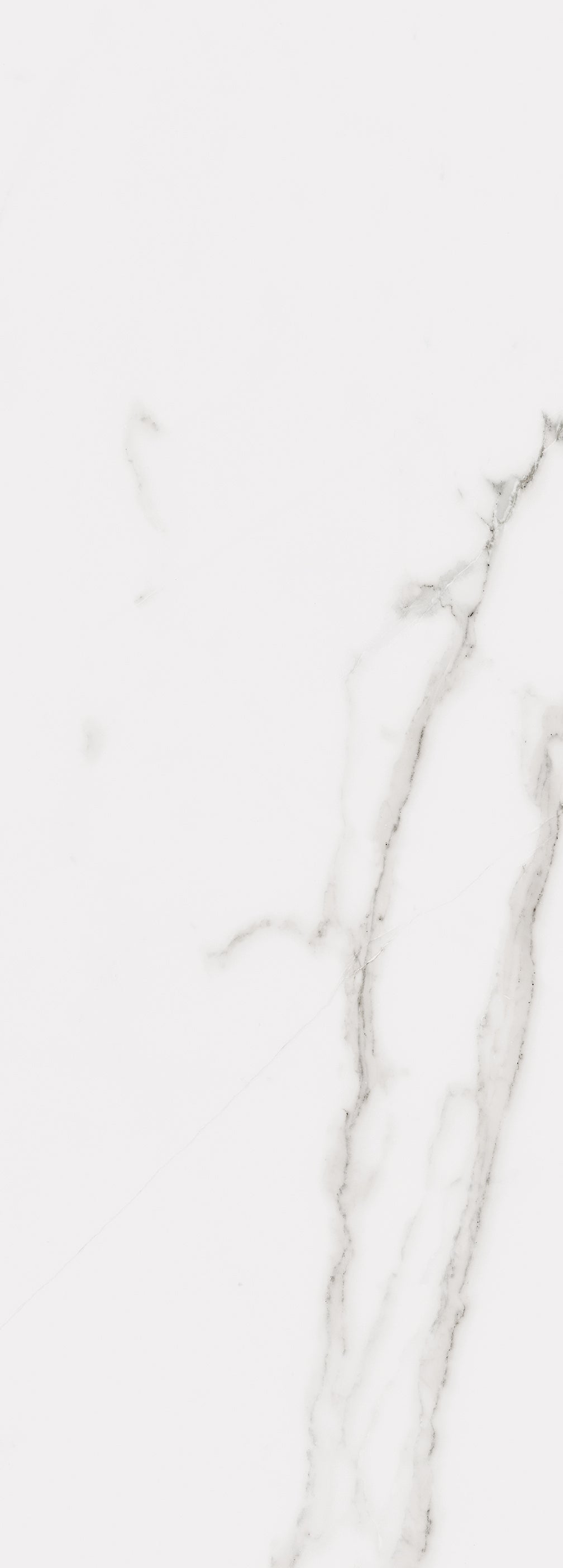 Calacatta Wall 14X39 Glossy Porcelain Tile