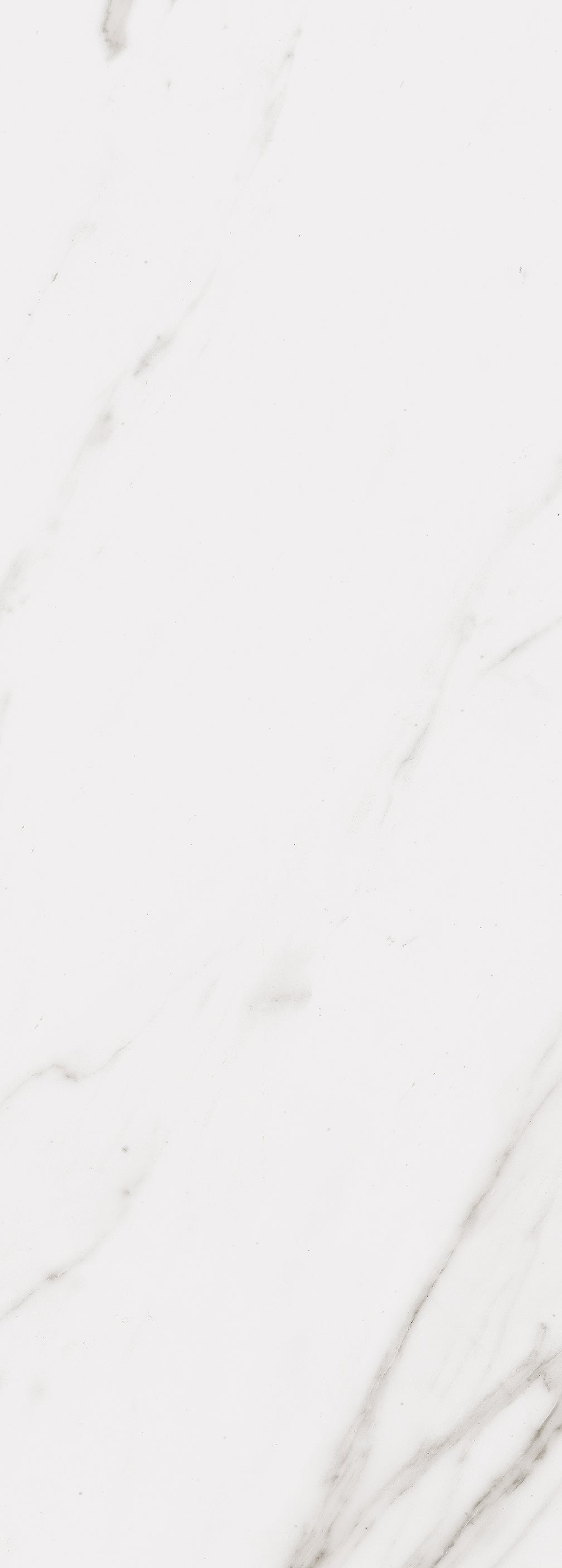 Calacatta Wall 14X39 Glossy Porcelain Tile