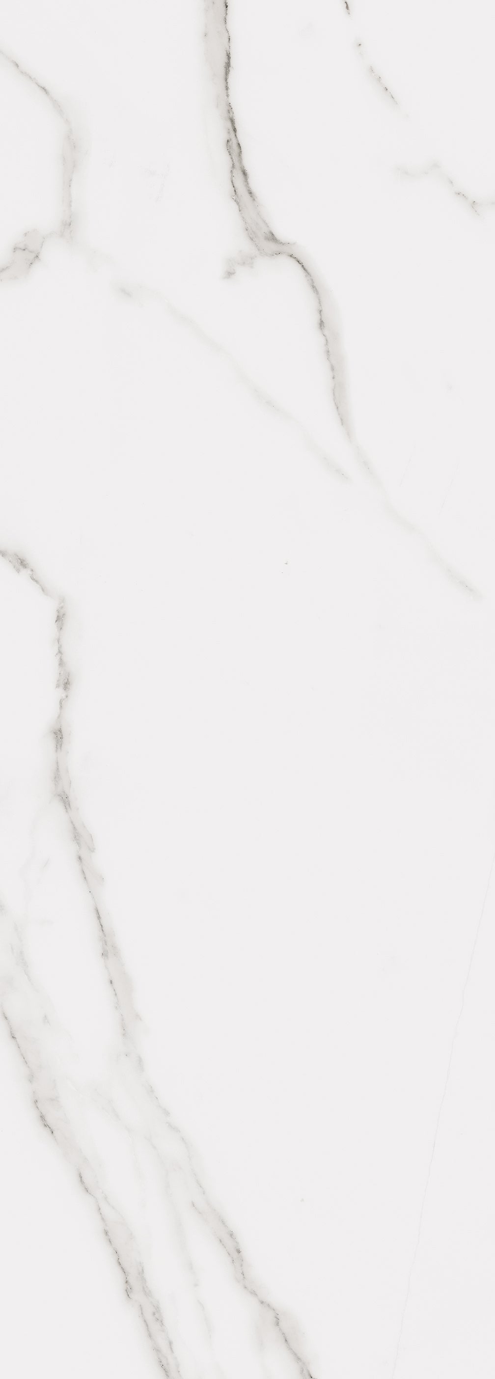 Calacatta Wall 14X39 Glossy Porcelain Tile