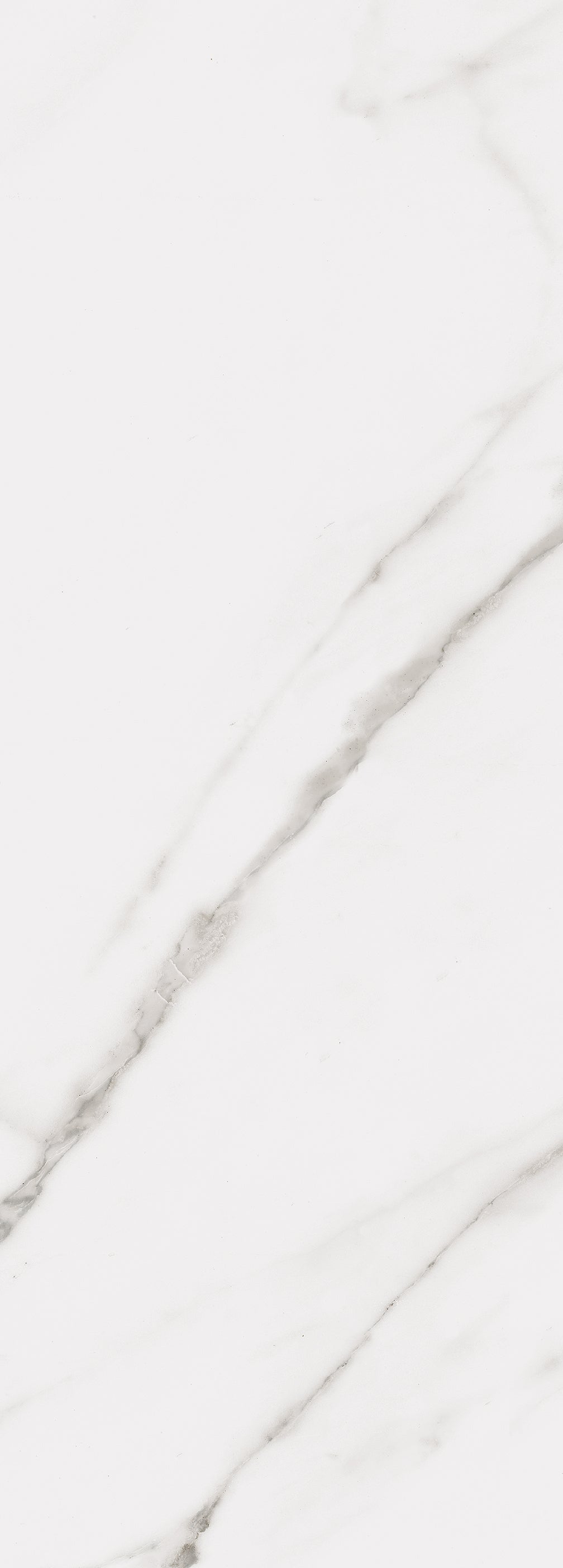 Calacatta Wall 14X39 Glossy Porcelain Tile