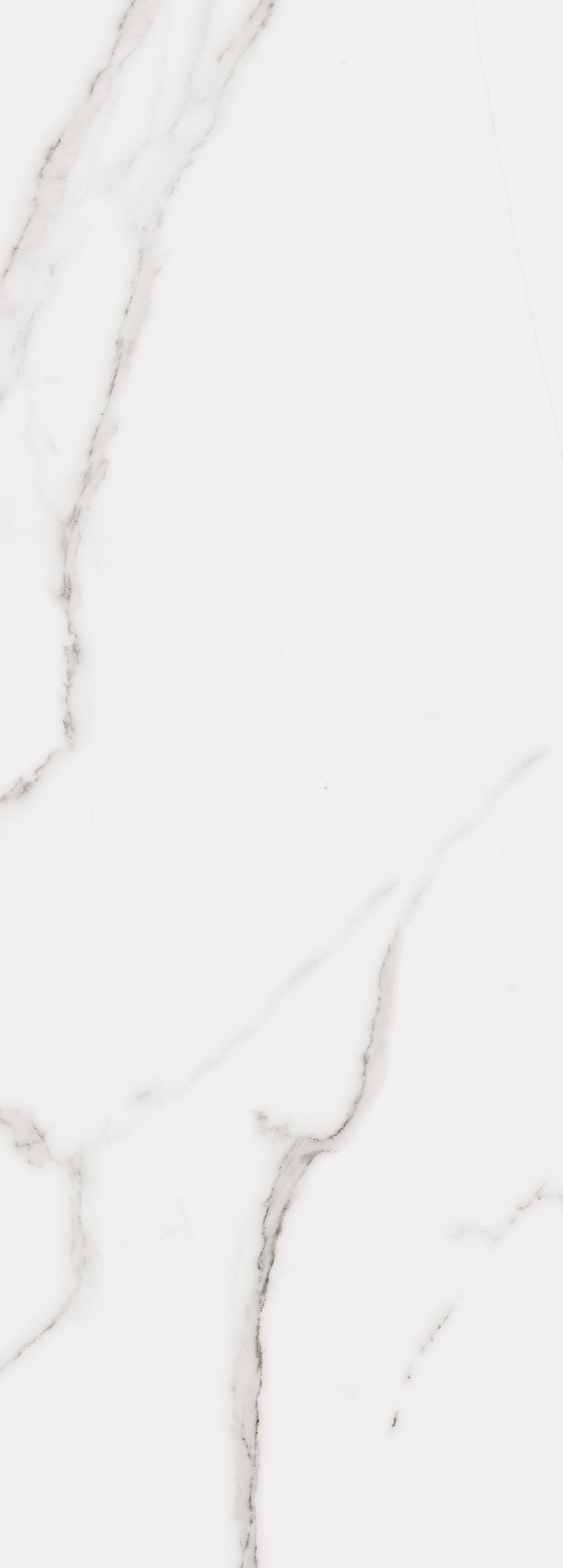 Calacatta Wall 14X39 Glossy Porcelain Tile