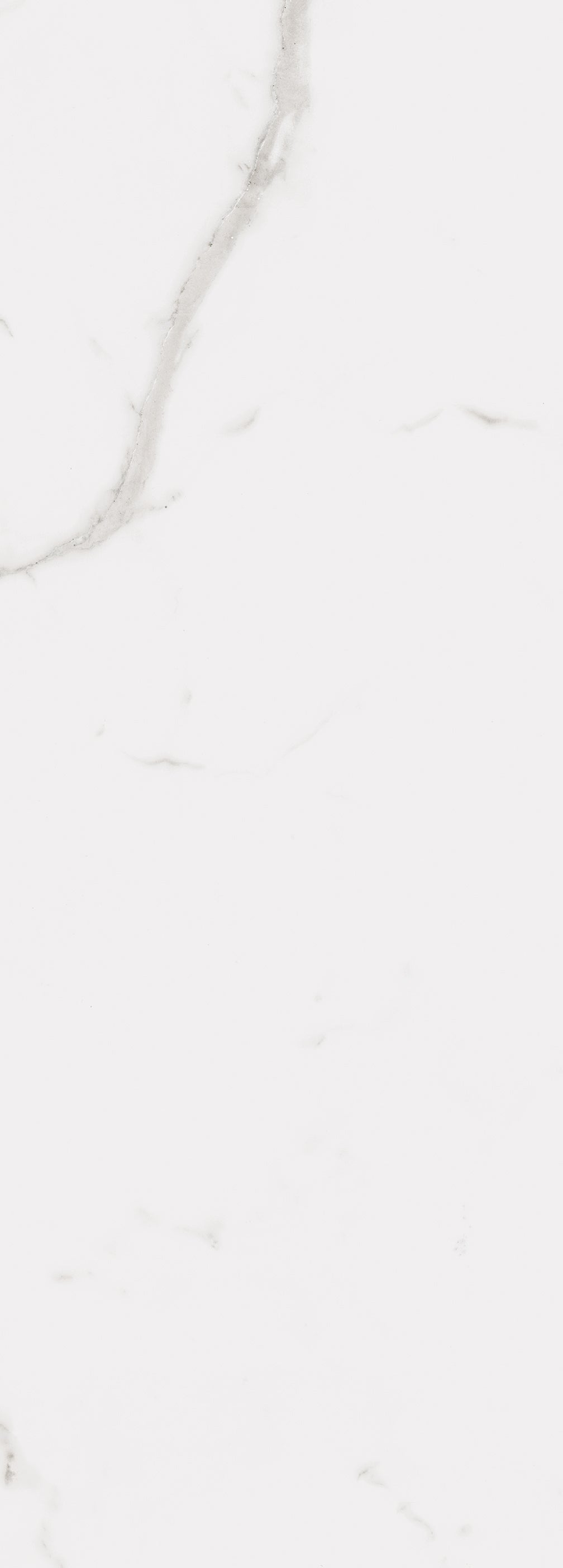 Calacatta Wall 14X39 Glossy Porcelain Tile