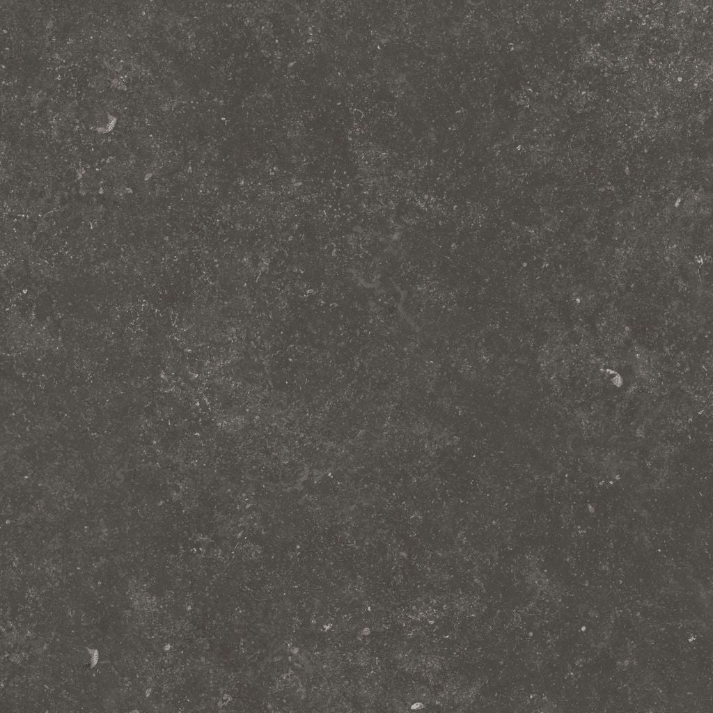 Fossil Black 24X24 Matte Porcelain Tile
