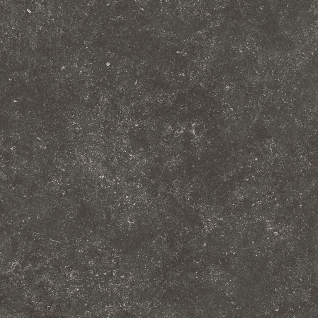 Fossil Black 12X24 Matte Porcelain Tile