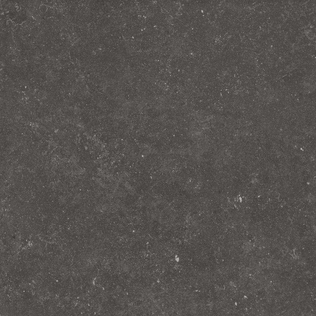 Fossil Black 24X24 Matte Porcelain Tile
