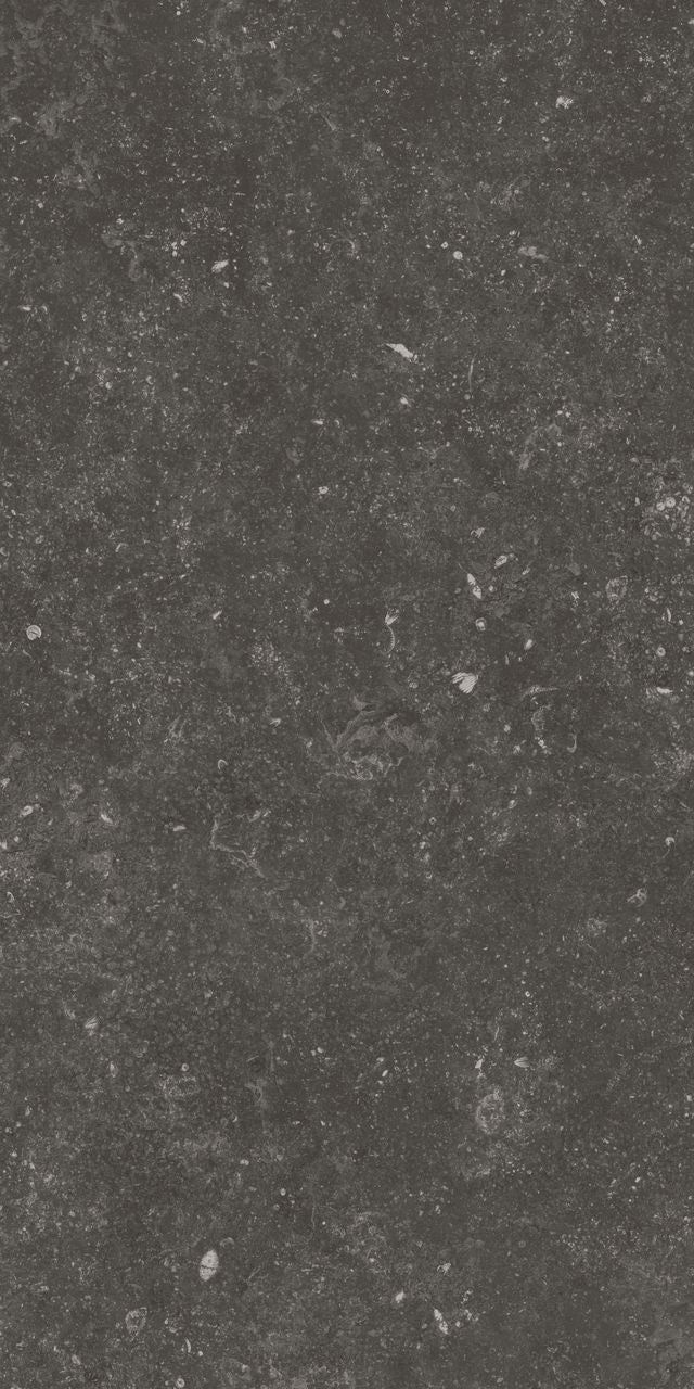 Fossil Black 12X24 Matte Porcelain Tile