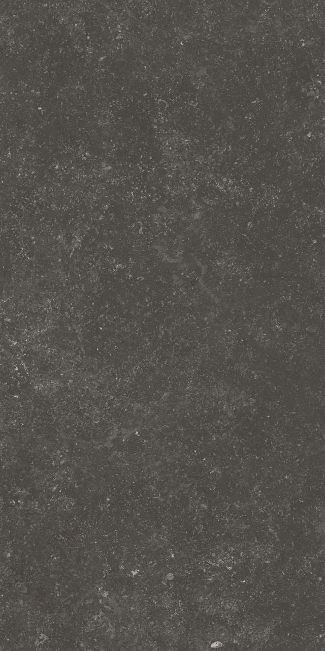 Fossil Black 12X24 Matte Porcelain Tile