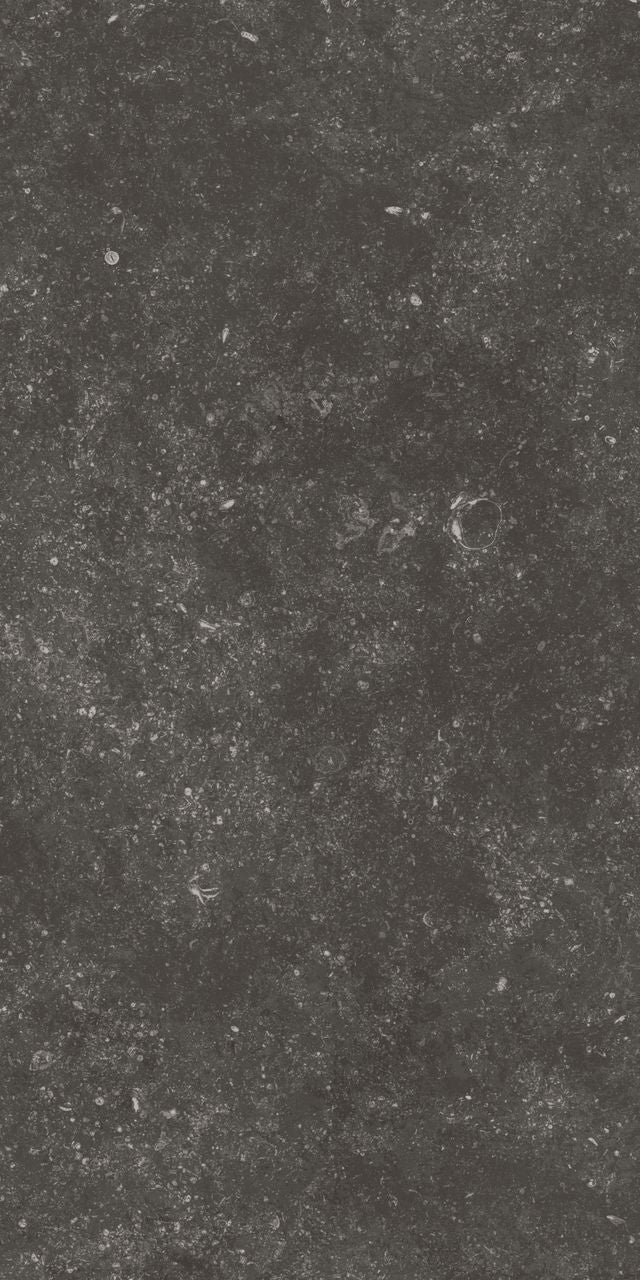 Fossil Black 12X24 Matte Porcelain Tile