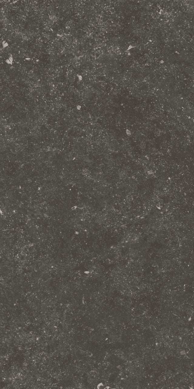 Fossil Black 12X24 Matte Porcelain Tile