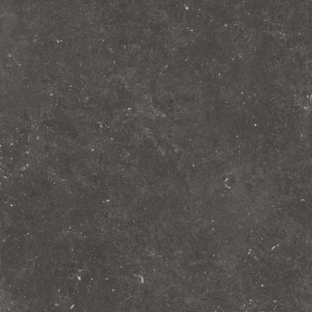 Fossil Black 12X24 Matte Porcelain Tile